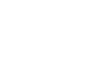 The Perfect Party